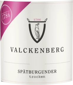Spätburgunder Trocken Rheinhessen - P.J. Valckenberg