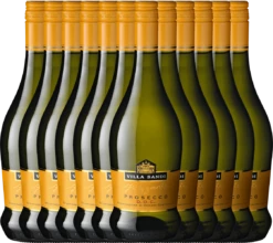 12er Vorteils-Weinpaket - Prosecco Frizzante DOC - Villa Sandi