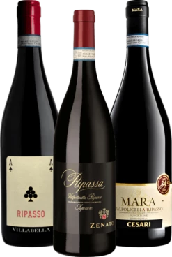 Exquisite Valpolicella Ripasso Weine - 3x Probierpaket -Chevalier Wine Geschaft Ripasso 3er