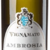 Ambrosia Verdicchio Dei Castelli Di Jesi Riserva Classico DOCG - VignAmato -Chevalier Wine Geschaft VA 11 19