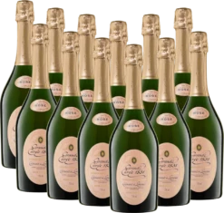 12er Vorteilspaket - Aimery Grande Cuvée 1531 Rosé Crémant Brut - Sieur D'Arques