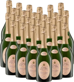 24x Vorteilspaket - Aimery Grande Cuvée 1531 Rosé Crémant Brut - Sieur D'Arques -Chevalier Wine Geschaft aimery rose 24er