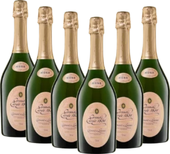 6er Vorteilspaket - Aimery Grande Cuvée 1531 Rosé Crémant Brut - Sieur D'Arques 7 6er Vorteilspaket - Aimery Grande Cuvée 1531 Rosé Crémant Brut - Sieur D'Arques -Chevalier Wine Geschaft aimery rose 6er