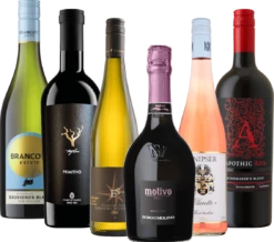 6x Probierpaket - Variety Symphony Mit VINELLOs Bestsellern 2023 14 6x Probierpaket - Variety Symphony Mit VINELLOs Bestsellern 2023 -Chevalier Wine Geschaft bestseller probierpaket