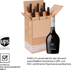 9er Paket Cuvee This Brut - Borgo Molino -Chevalier Wine Geschaft borgo molino cuvee this boxW6izrOe9v9ucY