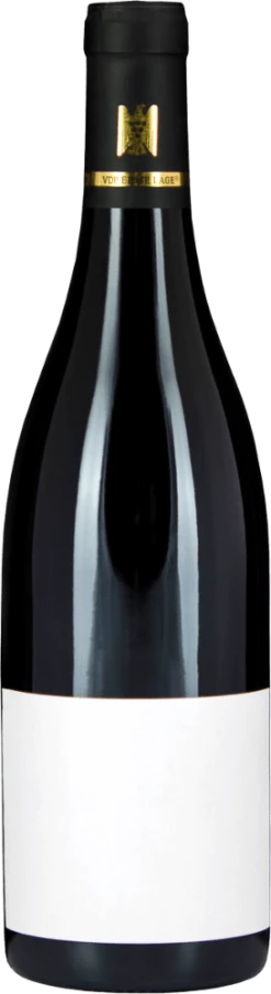 Fellbacher Trollinger SINE Trocken - Aldinger