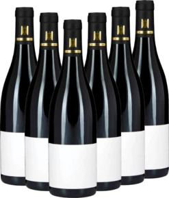 6x Vorteils-Weinpaket Fellbacher Trollinger SINE Trocken - Aldinger