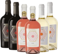 6er Kennenlernpaket - Passofino Weine Von Feudi Bizantini -Chevalier Wine Geschaft feudi bizantini paket