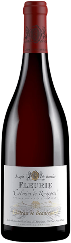 Château De Beauregard Colonies De Rochegrès - Joseph Burrier