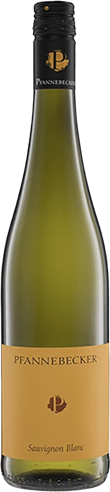 Sauvignon Blanc Trocken - Pfannebecker