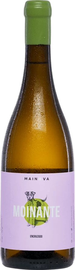 Moinante Branco Encruzado - Mainova