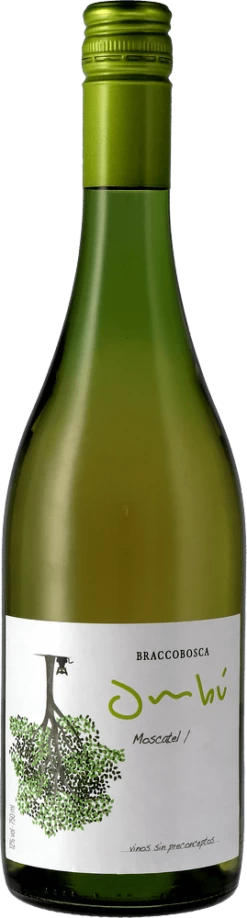 6er Kennenlernpaket - Weine Aus Uruguay