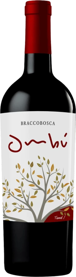 6er Kennenlernpaket - Weine Aus Uruguay -Chevalier Wine Geschaft ombu tannat classico bracco bosca