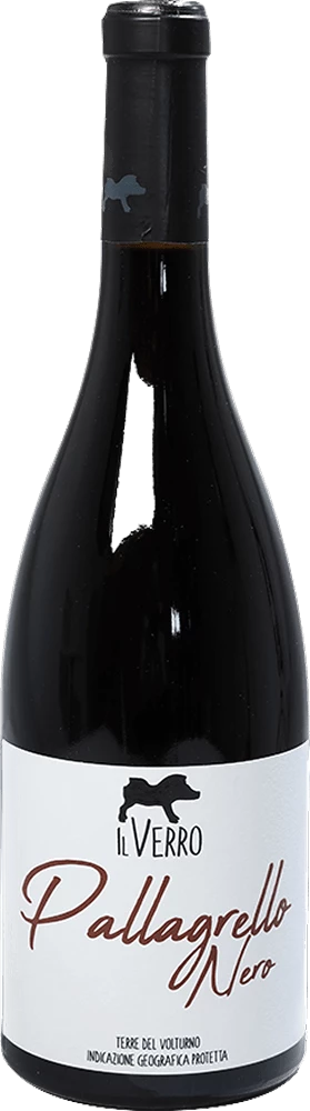 Pallagrello Nero - Il Verro 3 Pallagrello Nero - Il Verro