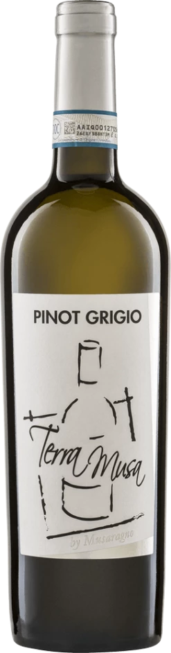 Pinot Grigio Venezia DOC - Terra Musa