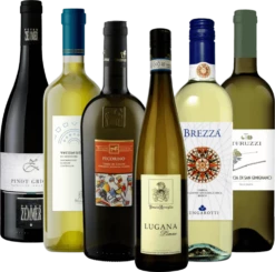 Weißwein Bestseller Aus Italien - 6x Probierpaket -Chevalier Wine Geschaft probierpaket weisswein bestseller italien