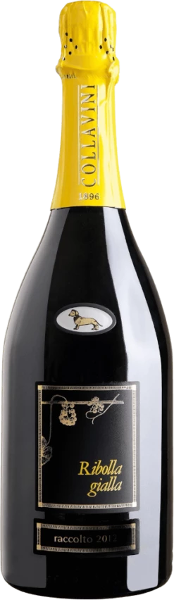 Ribolla Gialla Brut Millesimato Spumante - Eugenio Collavini