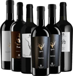 6er Kennenlernpaket - Italienische Rotweine Von Cantina Sampietrana -Chevalier Wine Geschaft sampietrana probier 1