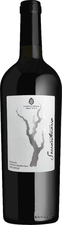 Sessantenario Malvasia Salento IGT - Cantina Sampietrana