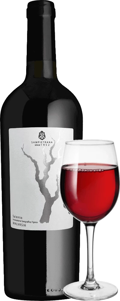 Sessantenario Malvasia Salento IGT - Cantina Sampietrana 4 Sessantenario Malvasia Salento IGT - Cantina Sampietrana - Image 2