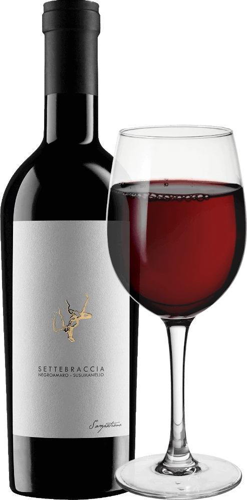 Settebraccia Negroamaro Sussumaniello IGT - Cantina Sampietrana 4 Settebraccia Negroamaro Sussumaniello IGT - Cantina Sampietrana - Image 2