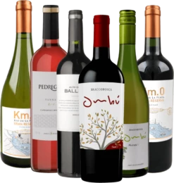 6er Kennenlernpaket - Weine Aus Uruguay -Chevalier Wine Geschaft uruguay probier 1