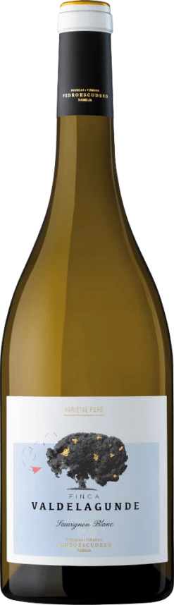 Valdelagunde Sauvignon Blanc - Pedro Escudero
