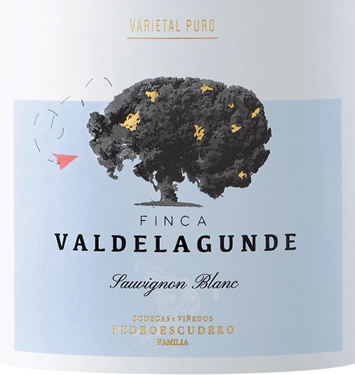 Valdelagunde Sauvignon Blanc - Pedro Escudero 4 Valdelagunde Sauvignon Blanc - Pedro Escudero - Image 2
